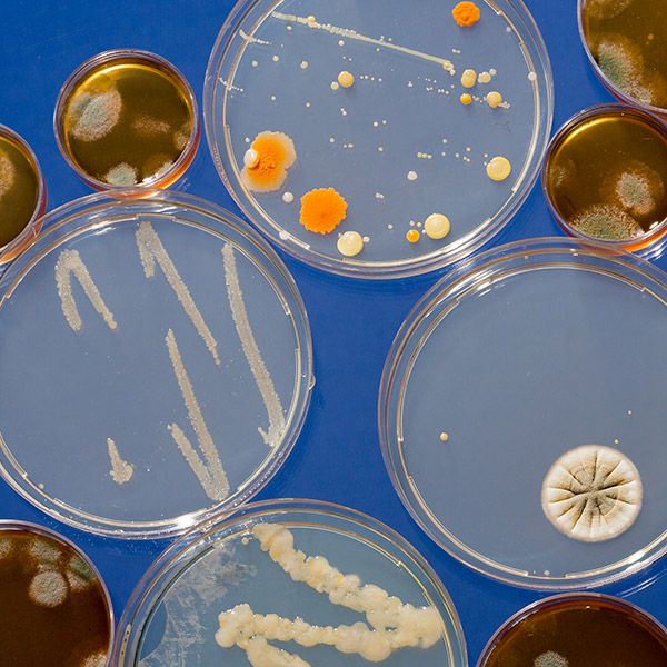 ima_indam_lavoro_Rischio-biologico_v2.jpg